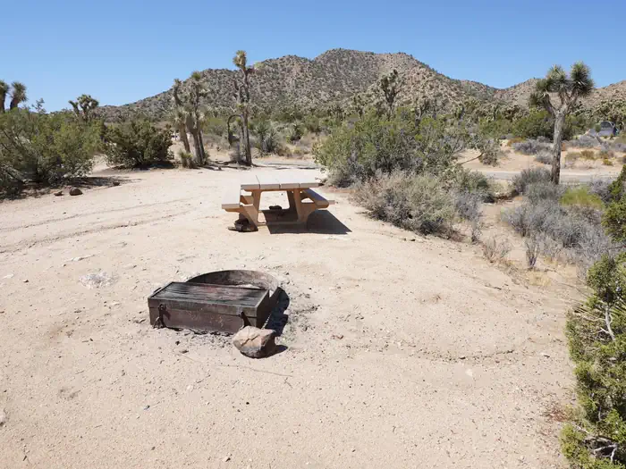 Black Rock Equestrian Campground - Joshua Tree