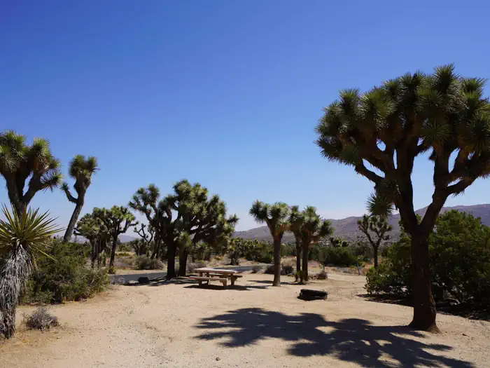 Black Rock Equestrian Campground - Joshua Tree