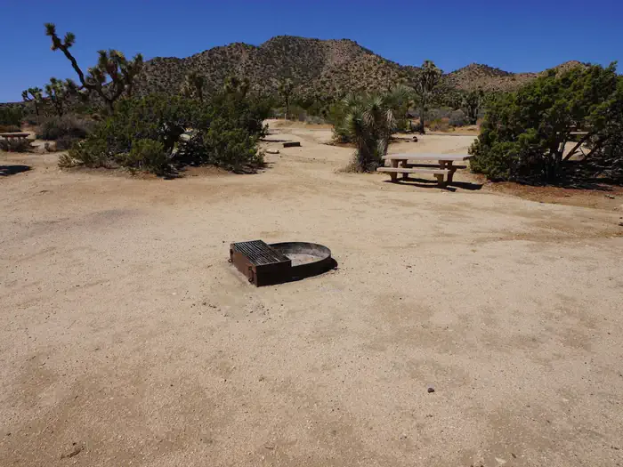 Black Rock Equestrian Campground - Joshua Tree