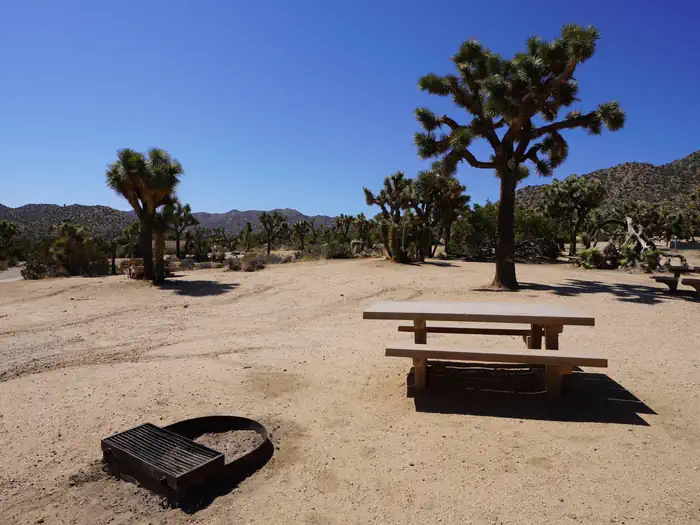 Black Rock Equestrian Campground - Joshua Tree