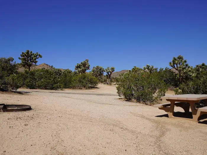 Black Rock Equestrian Campground - Joshua Tree