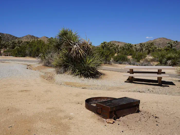 Black Rock Equestrian Campground - Joshua Tree