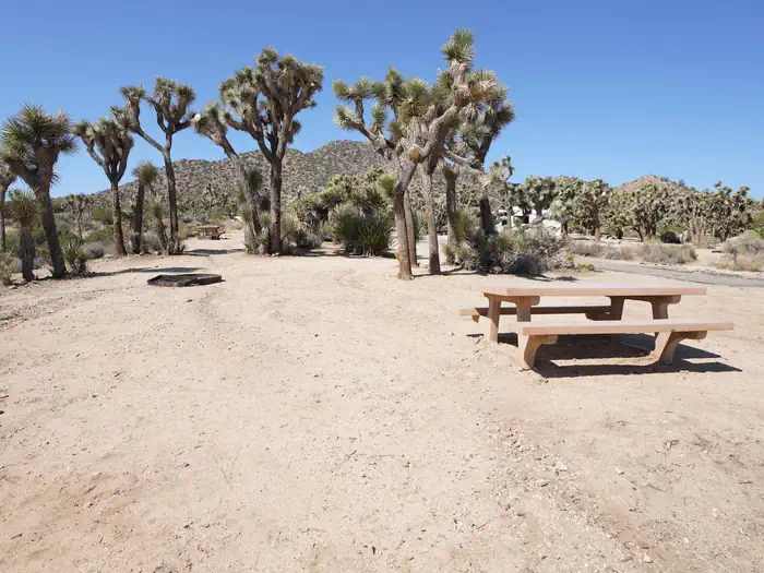 Black Rock Equestrian Campground - Joshua Tree