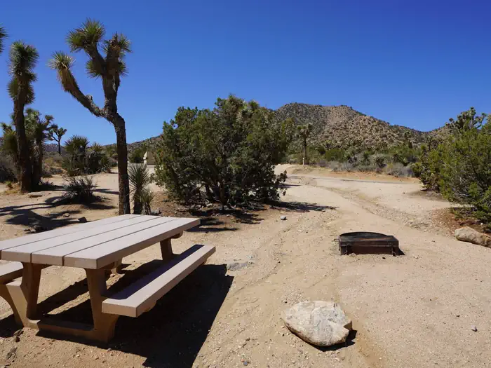 Black Rock Equestrian Campground - Joshua Tree