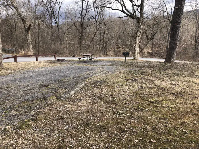 Fifteen Mile Creek Campsite