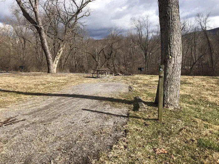 Fifteen Mile Creek Campsite