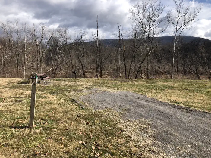 Fifteen Mile Creek Campsite