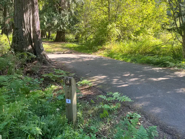 Ohara Bar Campground