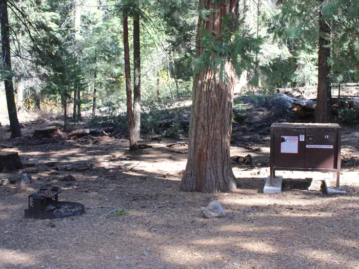 Azalea Campground
