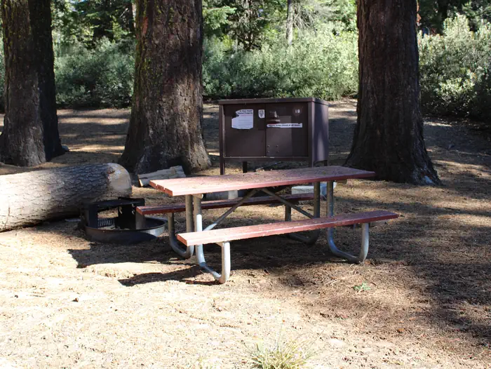 Azalea Campground