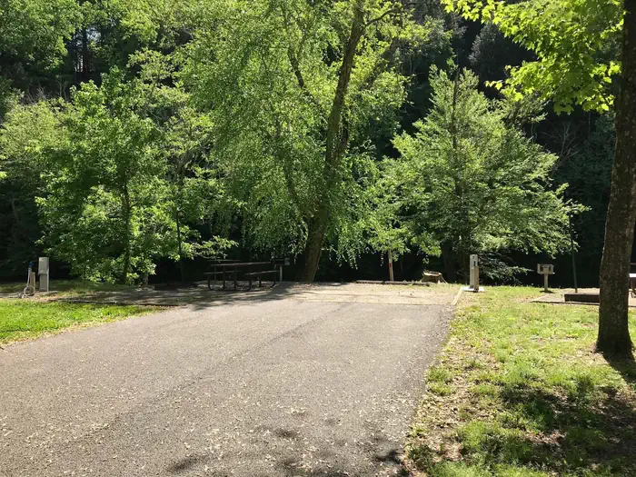 Buckhorn Dam Campground