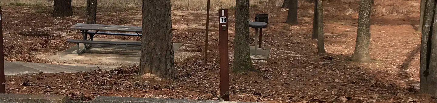 Caddo Drive
