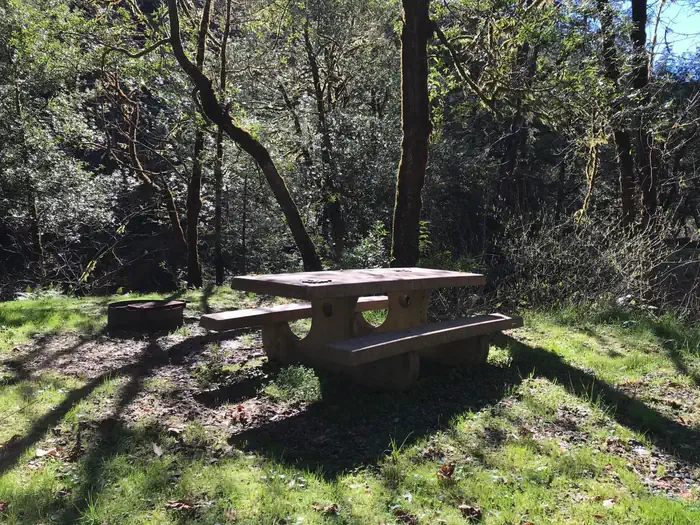 Edson Creek Camping