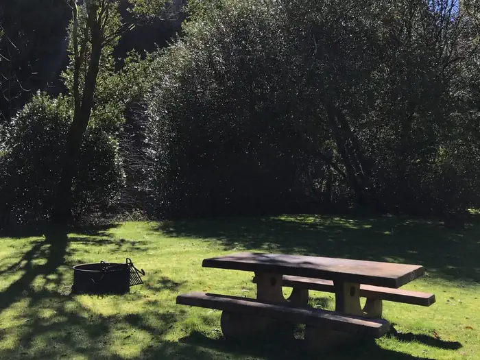 Edson Creek Camping