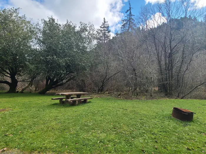 Edson Creek Camping