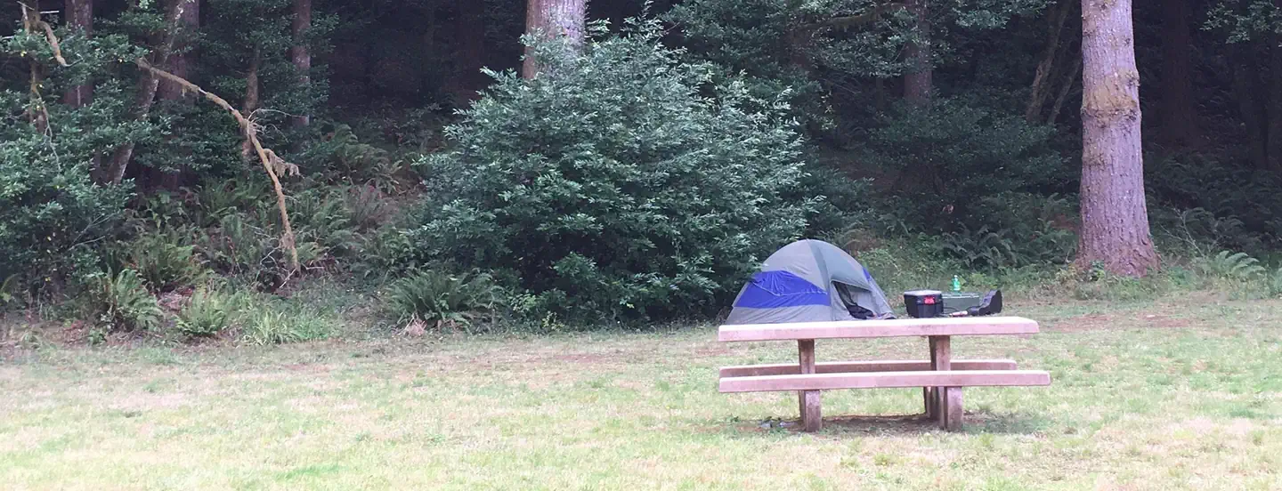Edson Creek Camping