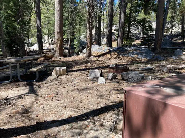Yosemite Creek - Yosemite National Park