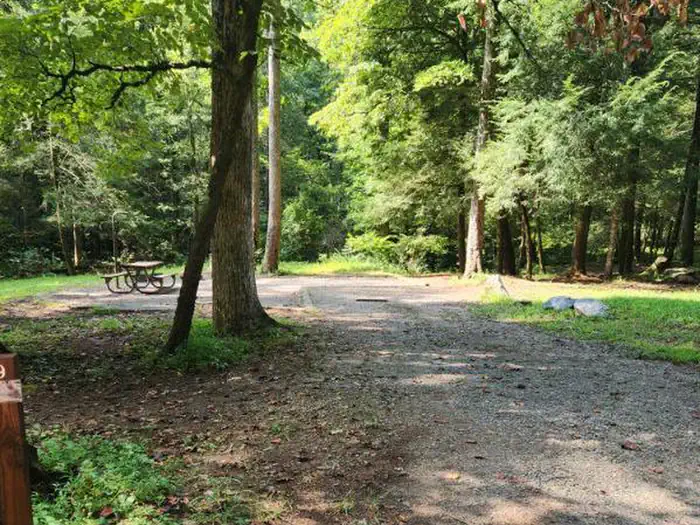 Low Gap Campground