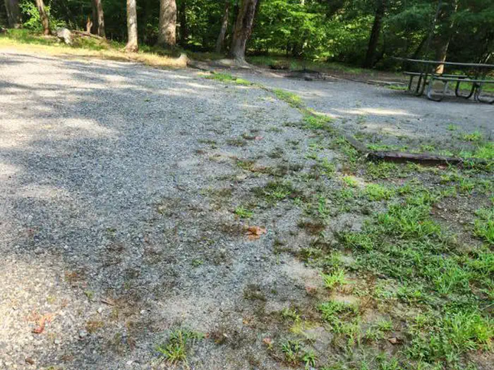 Low Gap Campground