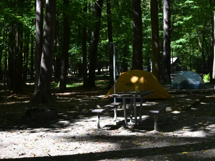 Cataloochee Campground