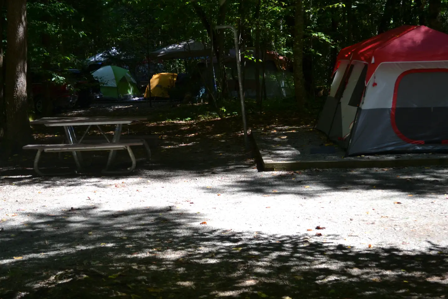 Cataloochee Campground