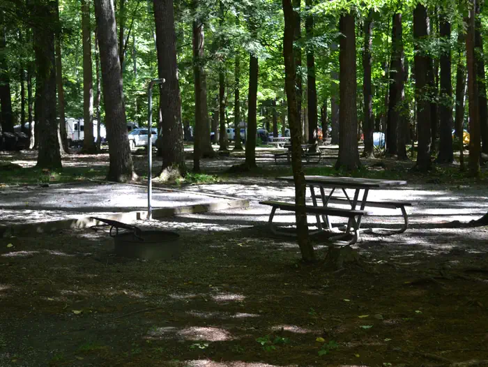 Cataloochee Campground