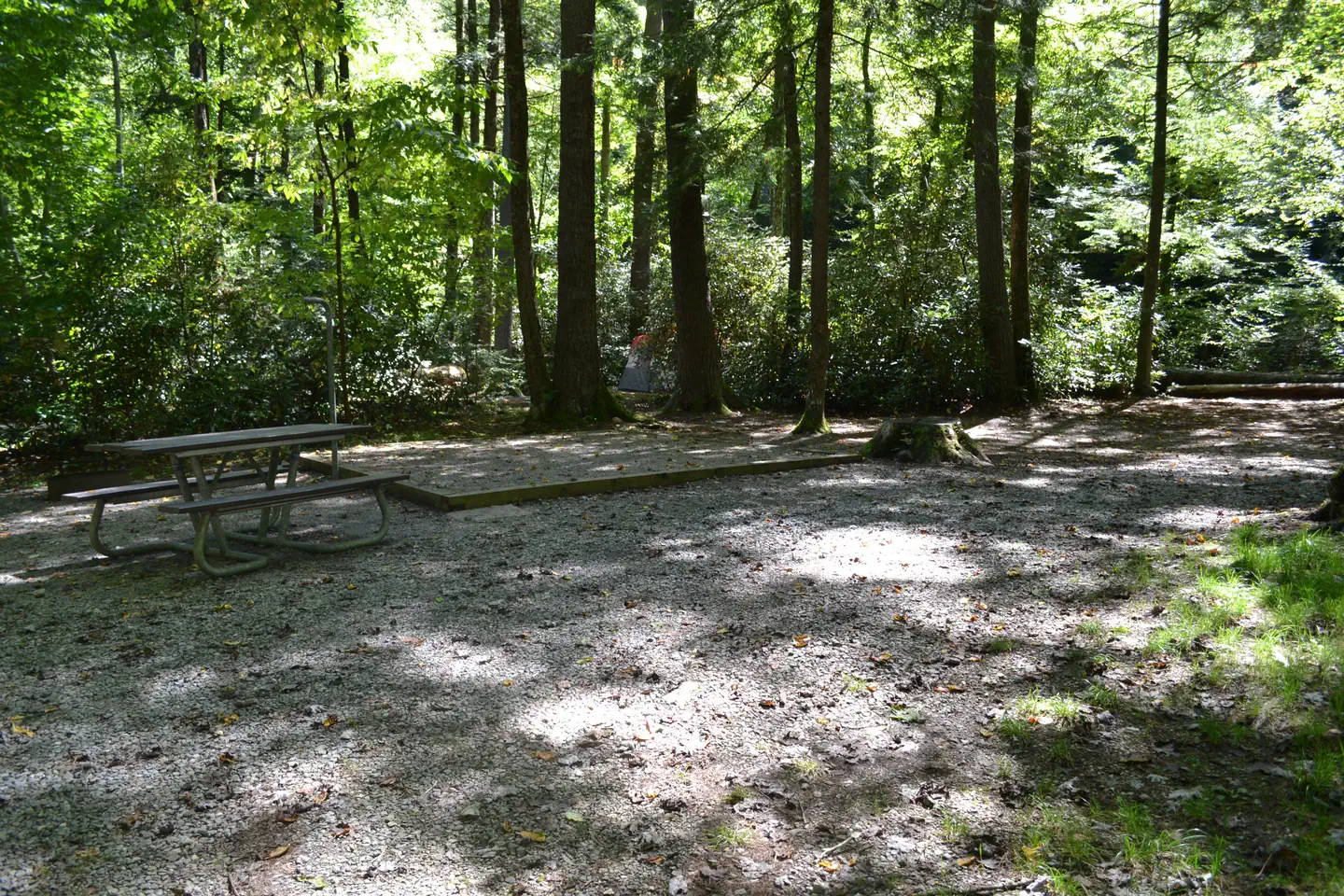 Cataloochee Campground