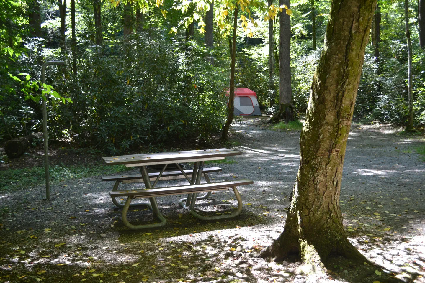 Cataloochee Campground