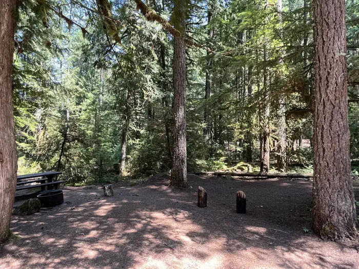 Riverside at Detroit Campground