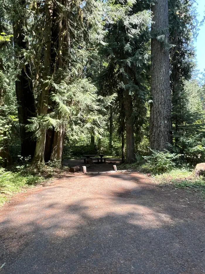 Riverside at Detroit Campground