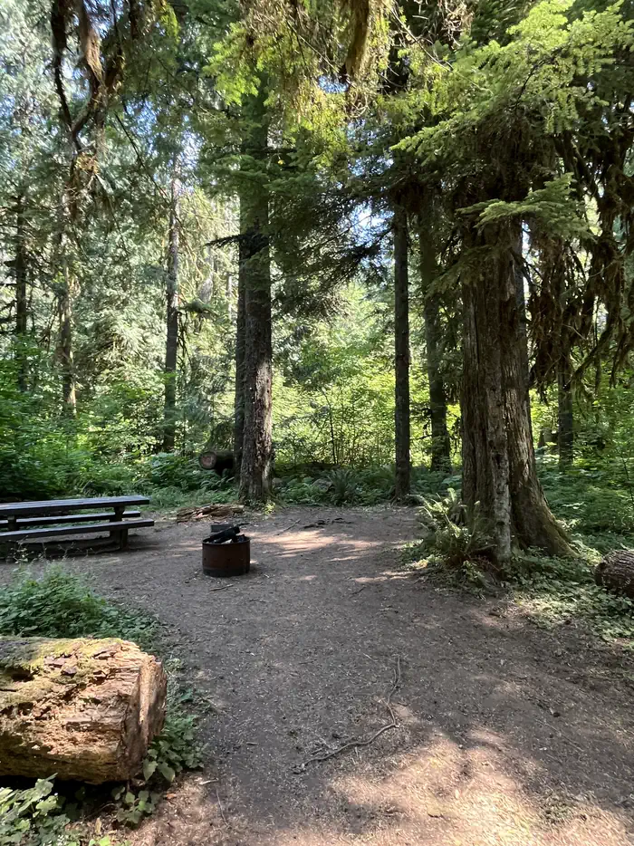 Riverside at Detroit Campground