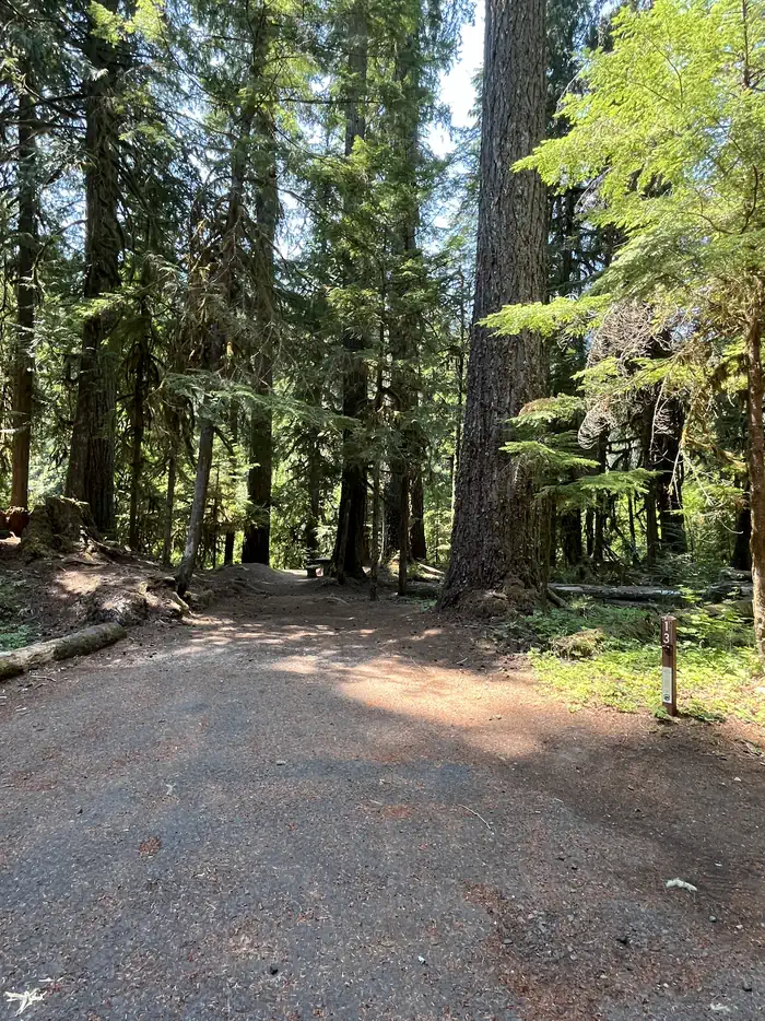 Riverside at Detroit Campground