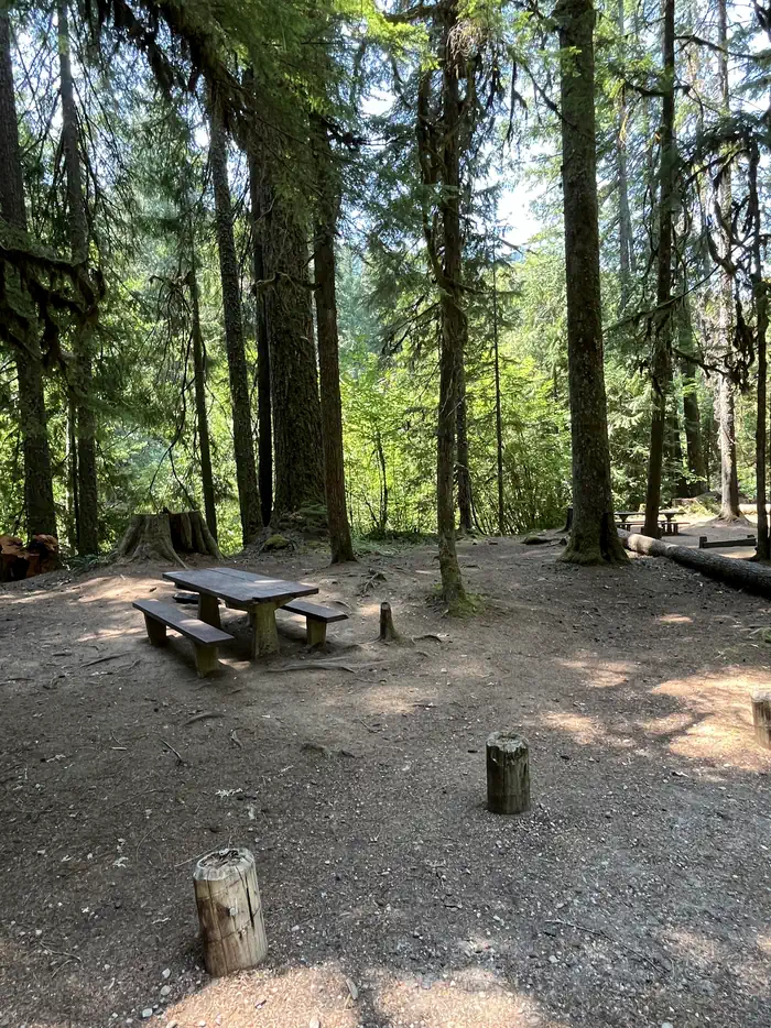 Riverside at Detroit Campground