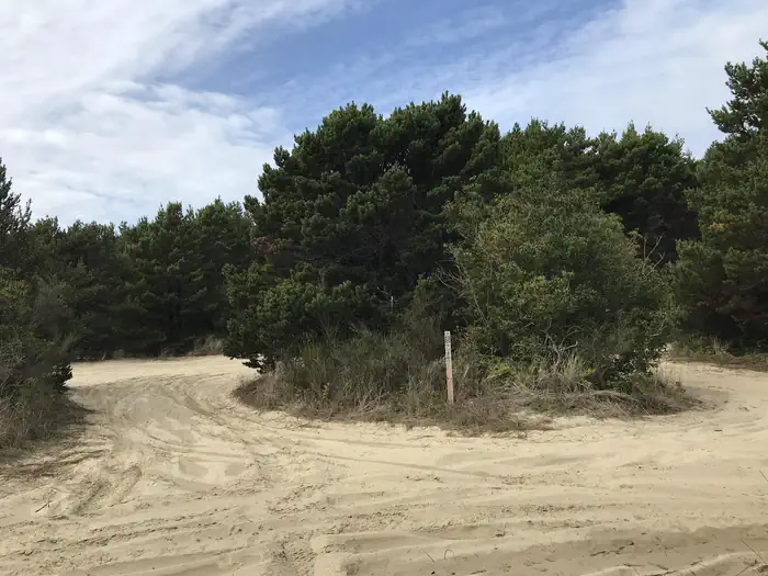 South Jetty Sand Camping