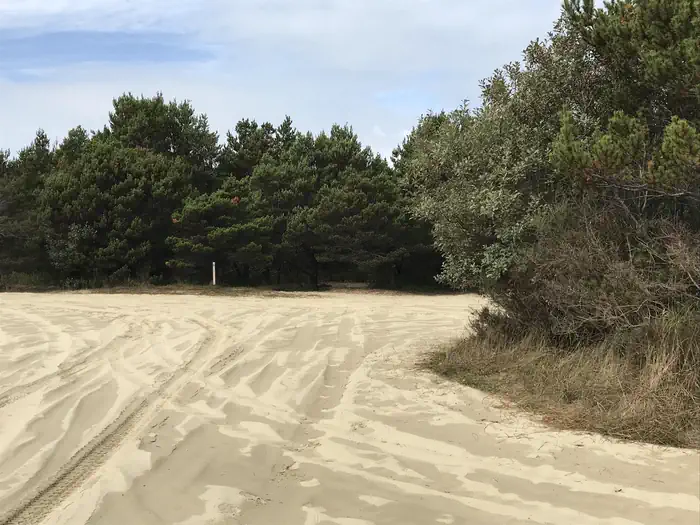 South Jetty Sand Camping