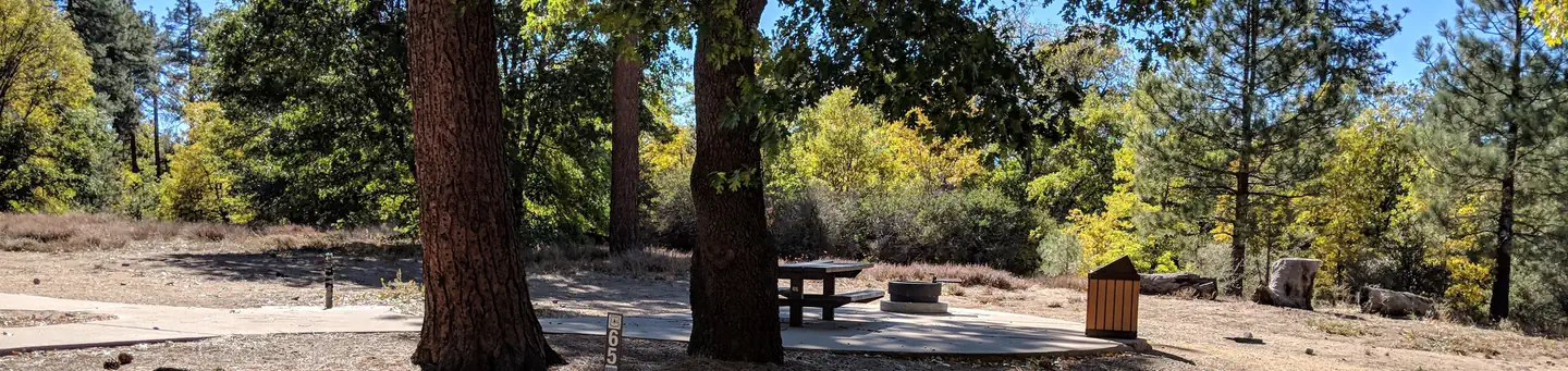 Laguna Campground