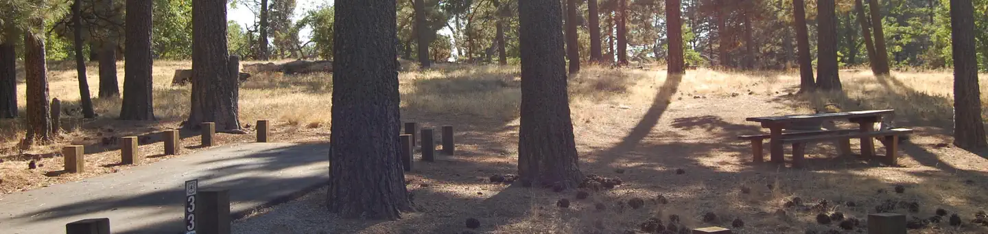 Laguna Campground