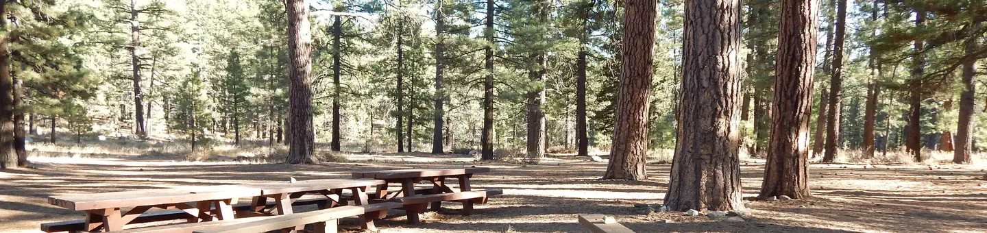 Boca Spring