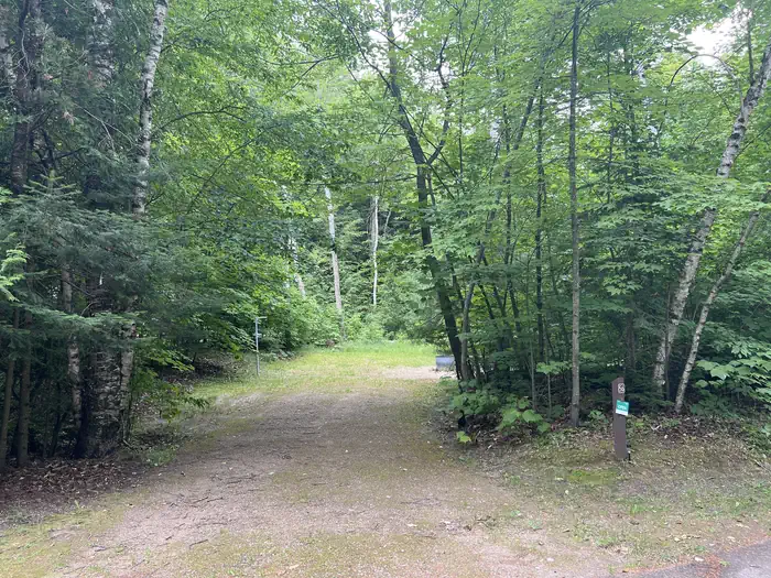Brevoort Lake Campground