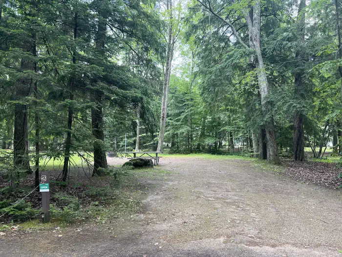 Brevoort Lake Campground