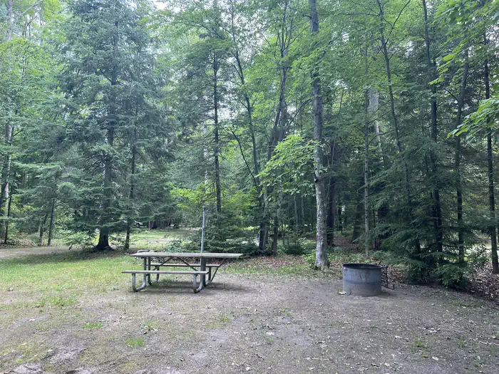Brevoort Lake Campground