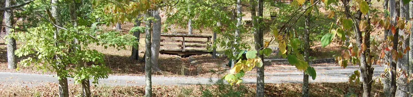 Rocky Bluff Campground