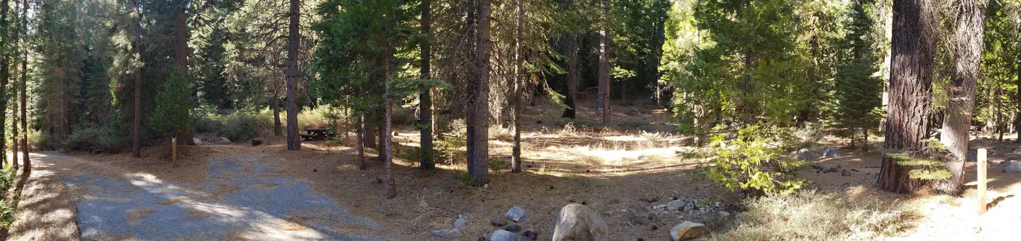 Lewis Campground