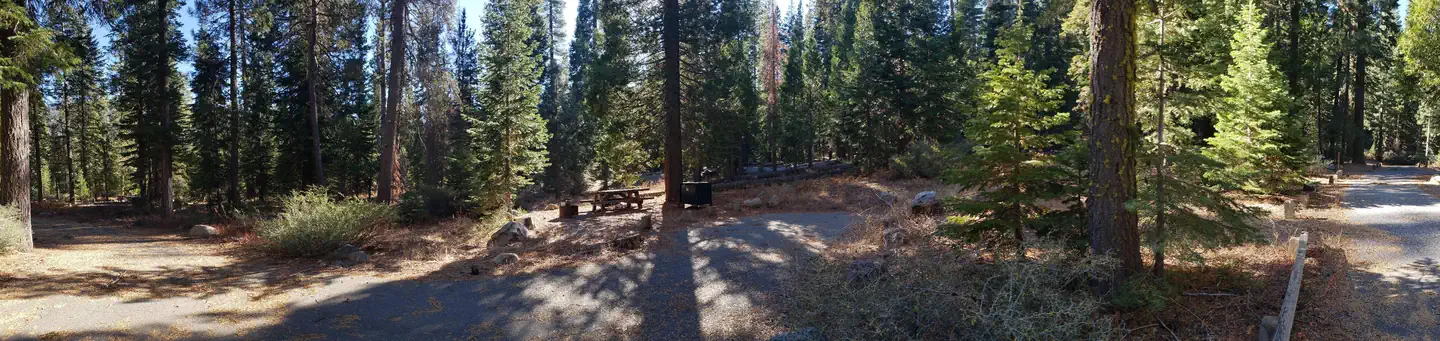 Lewis Campground