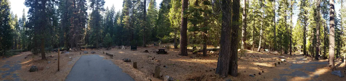 Lewis Campground