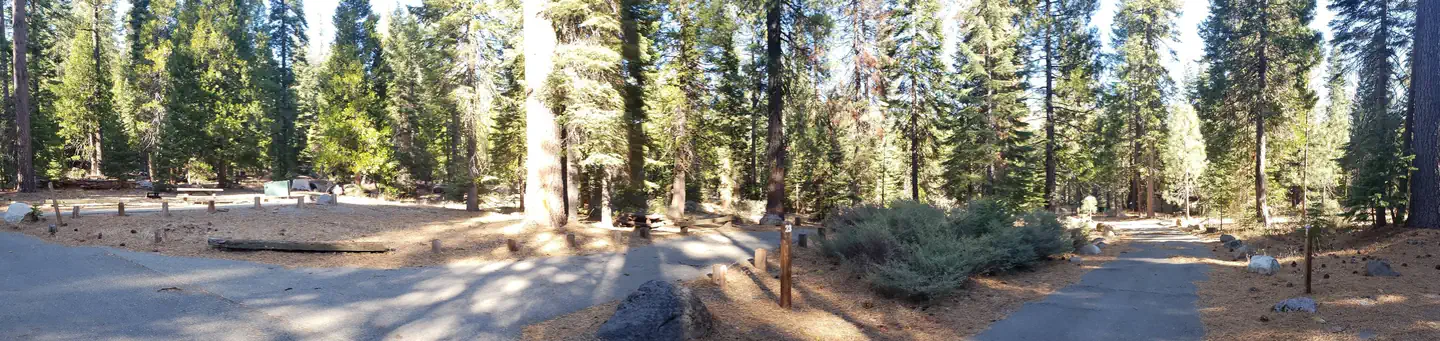 Lewis Campground