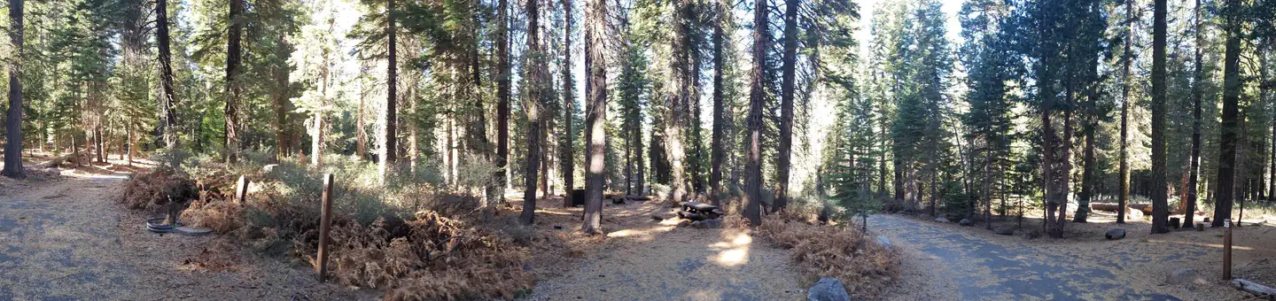 Lewis Campground