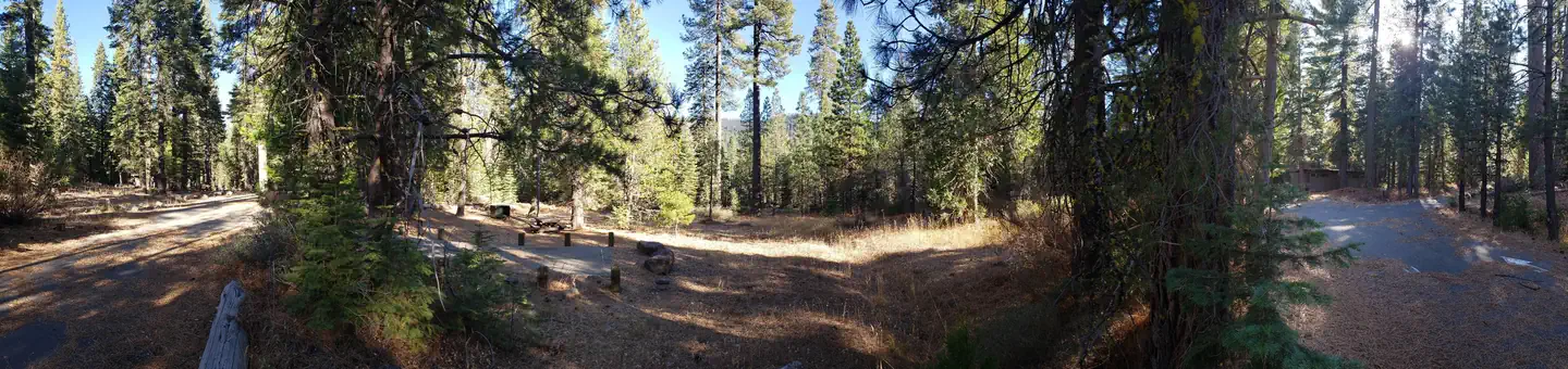 Lewis Campground