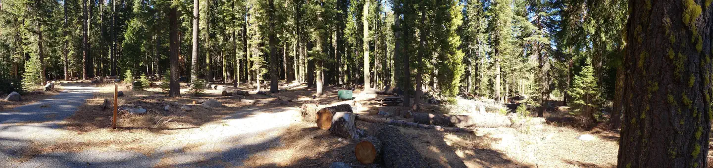 Lewis Campground