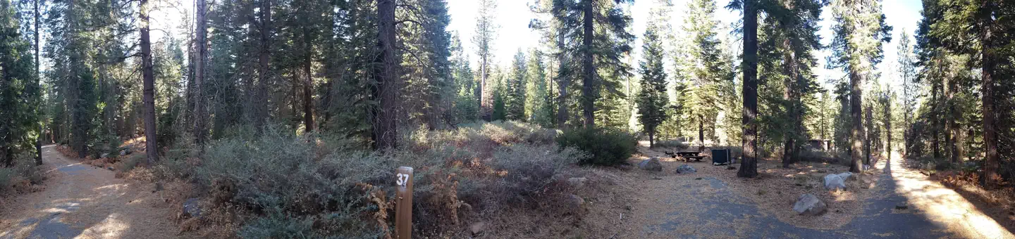Lewis Campground